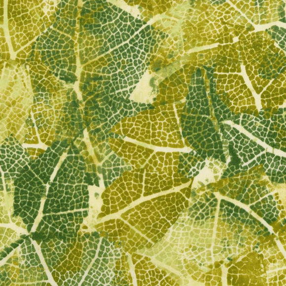 Leaf Study - Sprout Green
